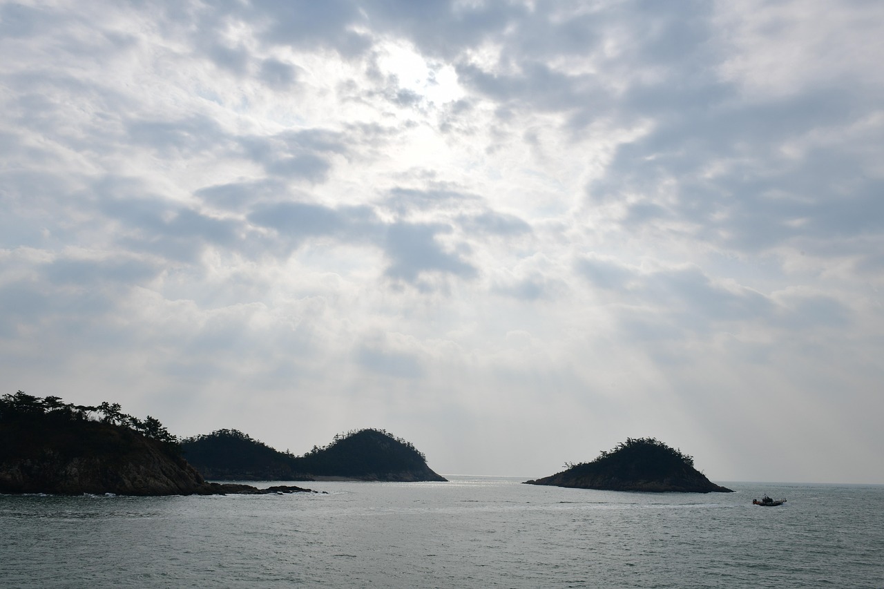 군산 커튼