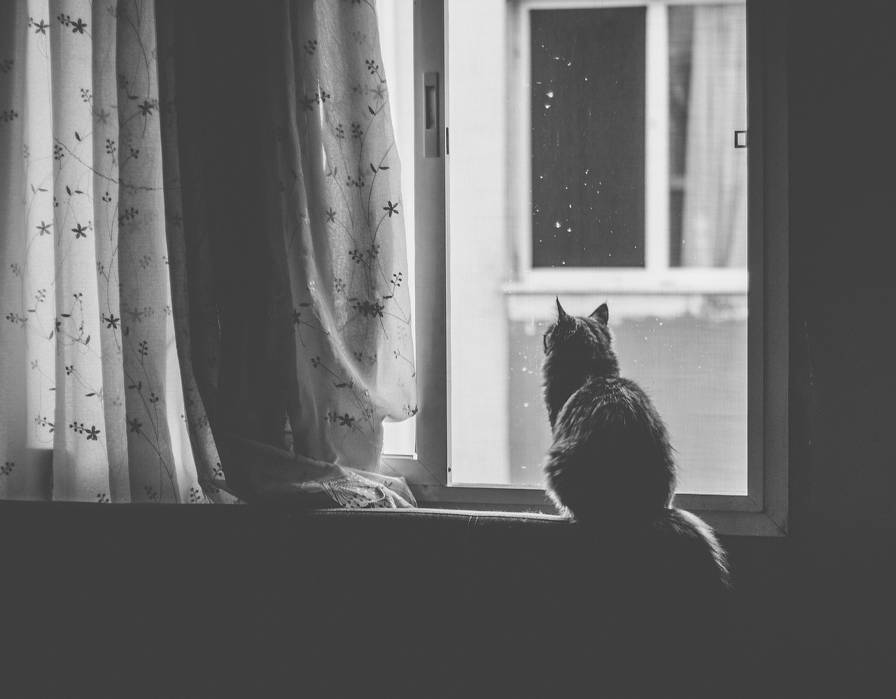 김제 커튼