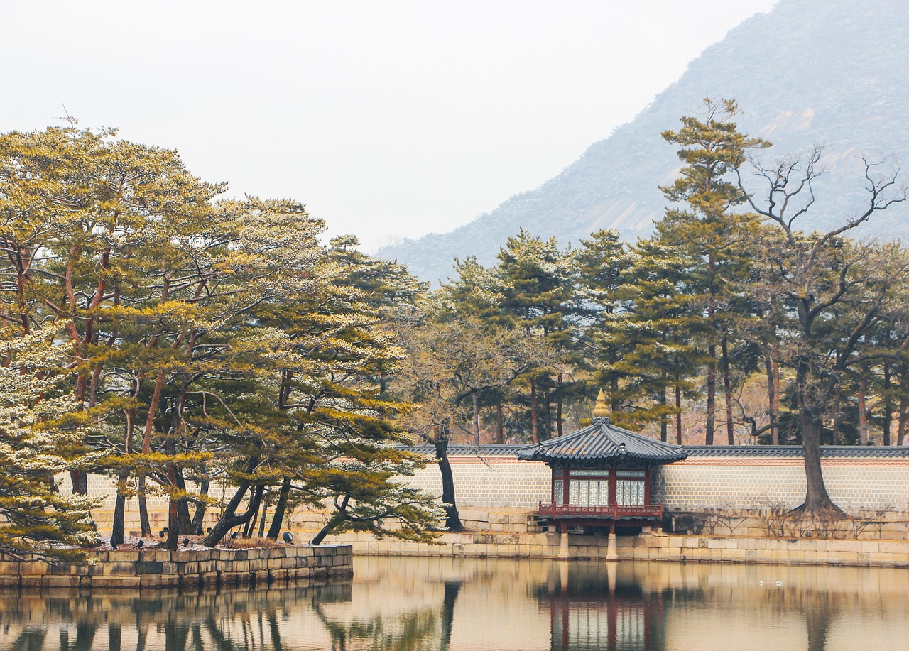 서울 은평구 커튼
